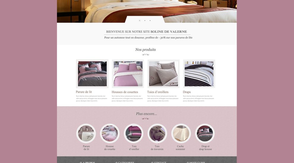 Création de site internet – Soline