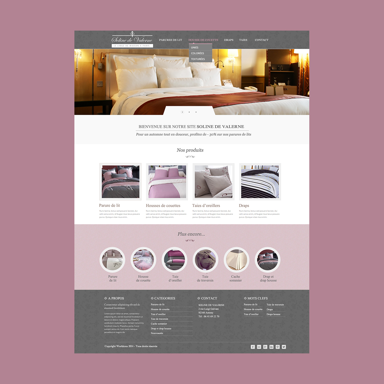 Création de site internet – Soline